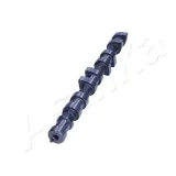Nockenwelle ASHIKA 16DW010