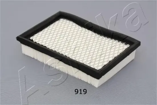Luftfilter ASHIKA 20-09-919 Bild Luftfilter ASHIKA 20-09-919