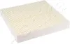 Filter, Innenraumluft ASHIKA 21-NS-NS28