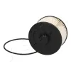 Kraftstofffilter ASHIKA 30-09-989 Bild Kraftstofffilter ASHIKA 30-09-989