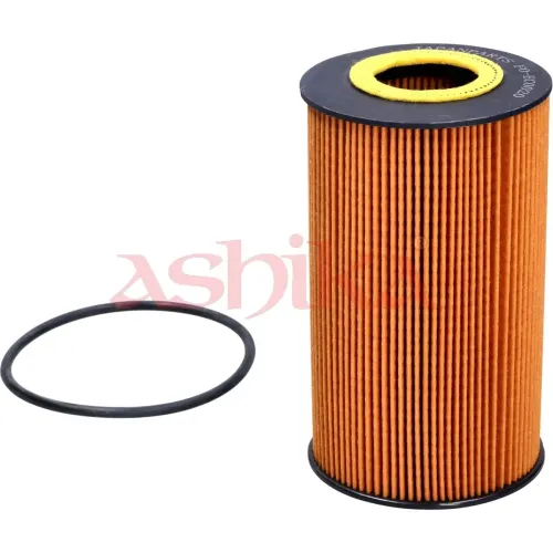 Kraftstofffilter ASHIKA 30-ECO020 Bild Kraftstofffilter ASHIKA 30-ECO020