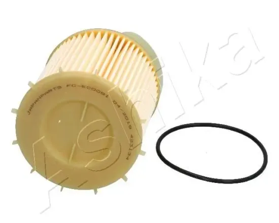Kraftstofffilter ASHIKA 30-ECO081 Bild Kraftstofffilter ASHIKA 30-ECO081