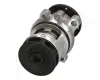 Wasserpumpe, Motorkühlung ASHIKA 35-00-0100 Bild Wasserpumpe, Motorkühlung ASHIKA 35-00-0100