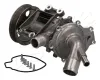 Wasserpumpe, Motorkühlung ASHIKA 35-00-0118 Bild Wasserpumpe, Motorkühlung ASHIKA 35-00-0118