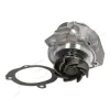 Wasserpumpe, Motorkühlung ASHIKA 35-00-0202 Bild Wasserpumpe, Motorkühlung ASHIKA 35-00-0202