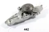Wasserpumpe, Motorkühlung ASHIKA 35-04-442 Bild Wasserpumpe, Motorkühlung ASHIKA 35-04-442