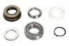 Radlagersatz Hinterachse ASHIKA 44-21043