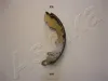 Bremsbackensatz Hinterachse ASHIKA 55-08-808