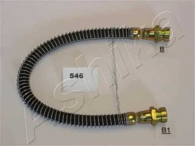 Halter, Bremsschlauch hinten links ASHIKA 69-05-546