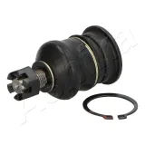 Trag-/Führungsgelenk Vorderachse oben ASHIKA 73-02-251