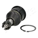 Trag-/Führungsgelenk Vorderachse unten ASHIKA 73-04-499