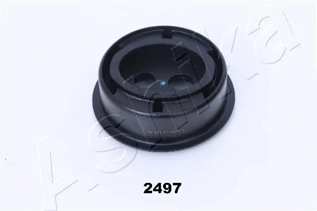 Lagerung, Differential unten Heckeinbau ASHIKA GOM-2497