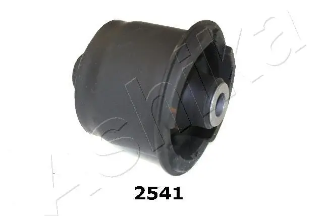 Lagerung, Achskörper Hinterachse ASHIKA GOM-2541
