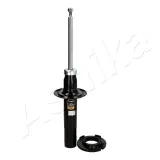 Stoßdämpfer Vorderachse ASHIKA MA-00851