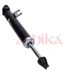 Stoßdämpfer Hinterachse links ASHIKA MA-01039