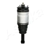 Luftfederbein Hinterachse ASHIKA MA-AS020