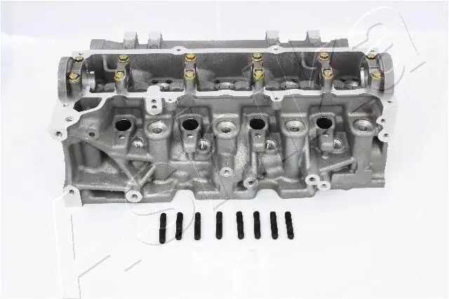 Zylinderkopf ASHIKA NS013S