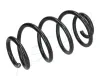 Fahrwerksfeder Hinterachse ASHIKA ZCA5031A