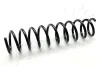 Fahrwerksfeder Hinterachse ASHIKA ZCA5478G