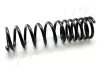 Fahrwerksfeder Hinterachse ASHIKA ZCA5613A
