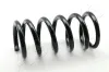 Fahrwerksfeder Hinterachse ASHIKA ZCA5877A