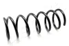 Fahrwerksfeder Hinterachse ASHIKA ZCA5990A
