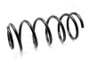 Fahrwerksfeder Hinterachse ASHIKA ZCA6214A