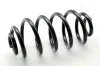 Fahrwerksfeder Hinterachse ASHIKA ZCA6388H
