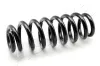 Fahrwerksfeder Hinterachse ASHIKA ZCA6591H