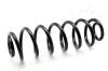 Fahrwerksfeder Hinterachse ASHIKA ZCA6784H