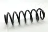 Fahrwerksfeder Hinterachse ASHIKA ZCA6787H