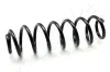 Fahrwerksfeder Hinterachse ASHIKA ZCA6788H