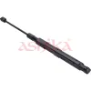 Gasfeder, Motorhaube links ASHIKA ZSA00186
