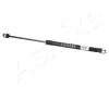 Gasfeder, Motorhaube beidseitig ASHIKA ZSA01012