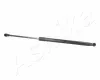 Gasfeder, Koffer-/Laderaum beidseitig ASHIKA ZSA01044