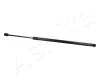 Gasfeder, Koffer-/Laderaum beidseitig ASHIKA ZSA04038