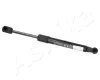 Gasfeder, Motorhaube beidseitig ASHIKA ZSA07078