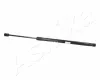 Gasfeder, Koffer-/Laderaum beidseitig ASHIKA ZSA09149