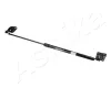 Gasfeder, Koffer-/Laderaum ASHIKA ZSA80001