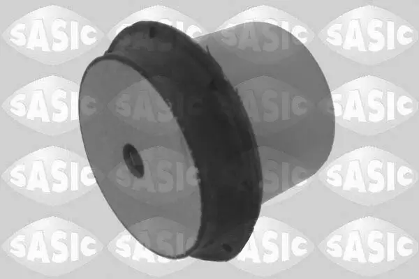 Lagerung, Achskörper Hinterachse hinten SASIC 2606005