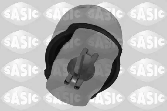 Lagerung, Achsträger Hinterachse hinten SASIC 2606045 Bild Lagerung, Achsträger Hinterachse hinten SASIC 2606045