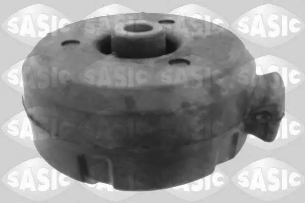 Lagerung, Motor SASIC 2704078