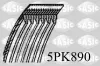 Keilrippenriemen SASIC 5PK890