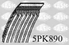 Keilrippenriemen SASIC 5PK890