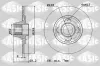 Bremsscheibe Hinterachse SASIC 6100004