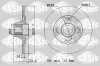 Bremsscheibe Hinterachse SASIC 6100009