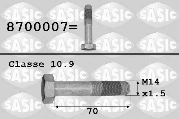 Riemenscheibenschraube SASIC 8700007