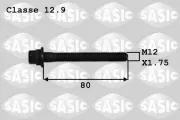 Riemenscheibenschraube SASIC 8700012