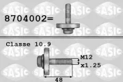 Riemenscheibenschraube SASIC 8704002