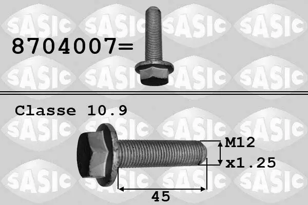 Riemenscheibenschraube SASIC 8704007